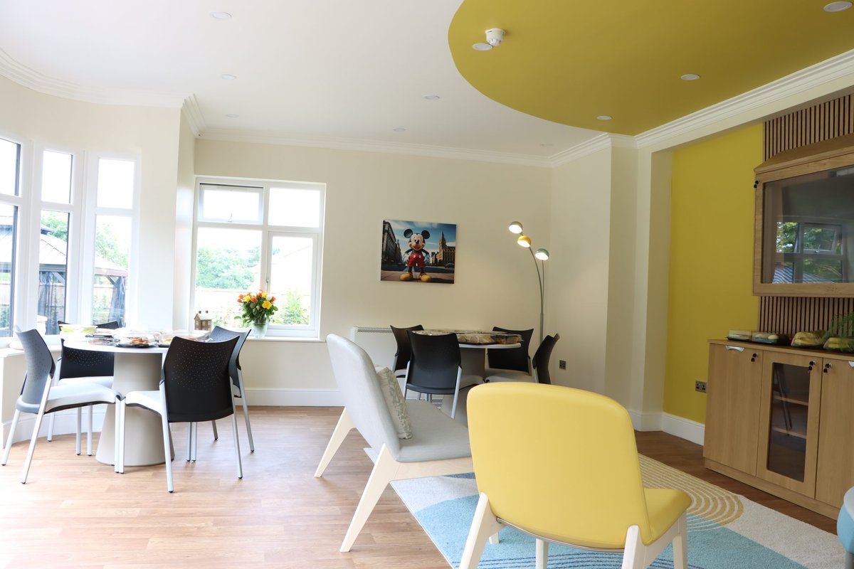 Beyond Traditional Dog Movies Interactive Sensory Play for Canine Well-Being