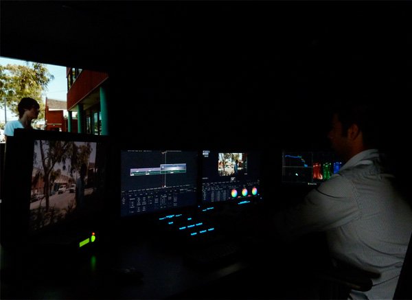 Creating the Optimal Viewing Environment for Your Dogs Calm