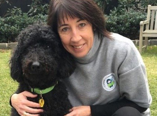 The Science & Benefits of Canine Screen Time for Happier Pups